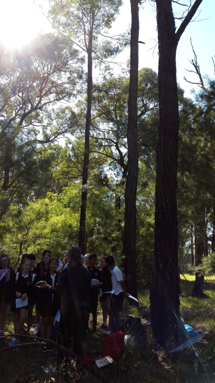 2015 Yr 8 Ecosystems excursion Annangrove 2 (Large)