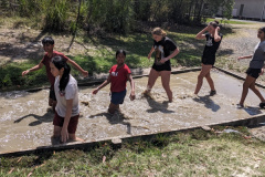 PXL_20231016_023103078