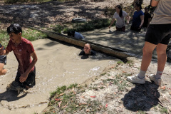 PXL_20231016_023805197