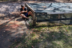 PXL_20231016_023905718