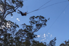 PXL_20231016_053019227