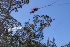 PXL_20231016_055326602