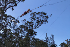 PXL_20231016_055945371