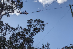 PXL_20231016_061010518