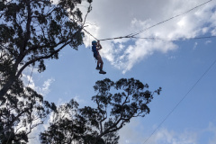 PXL_20231016_061307113