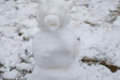 PXL_20240409_042329786