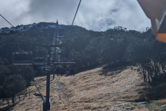 PXL_20240409_043502607