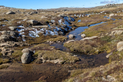 PXL_20240410_041452649