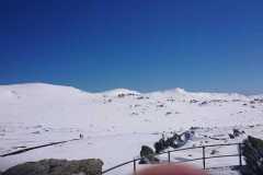 ba64027d-a910-4ca2-86cb-5477cfeafca7