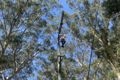 20250228_000957810_iOS