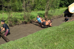 PXL_20250226_043415625