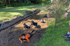 PXL_20250226_044730181